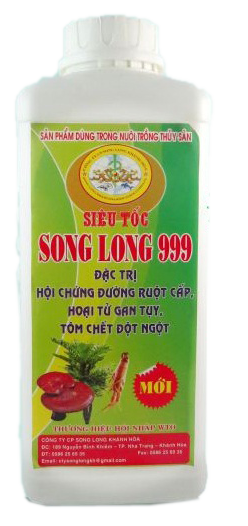 SONG LONG  999(Chai)