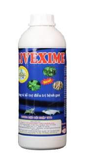 LIVEXIME (Chai)